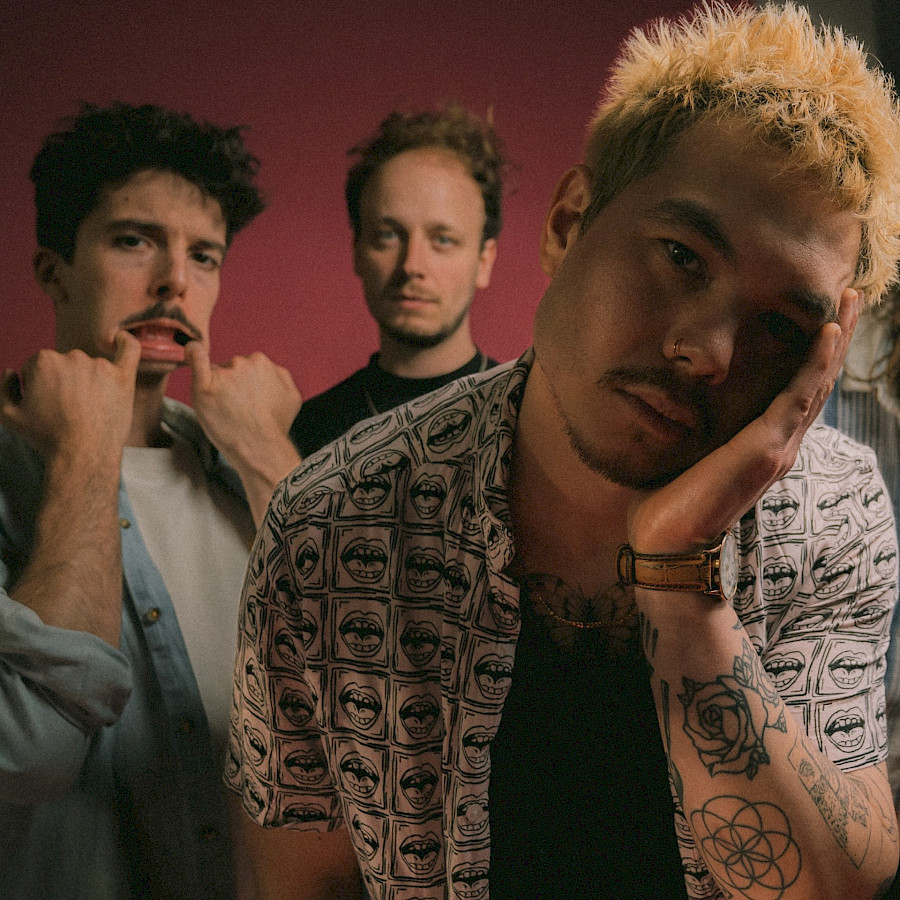 Illustration PLAIINS